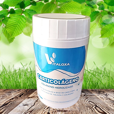 Cápsulas de cardo mariano, Bioaurora 100cap – Mystika • Tienda Saludable