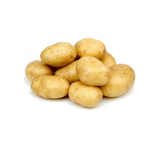 PAPA BLANCA ARA