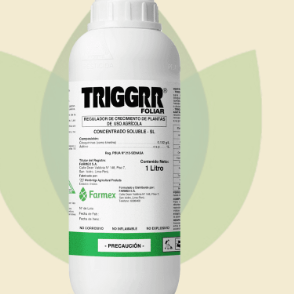 TRIGGR FOLIAR X 1LT
