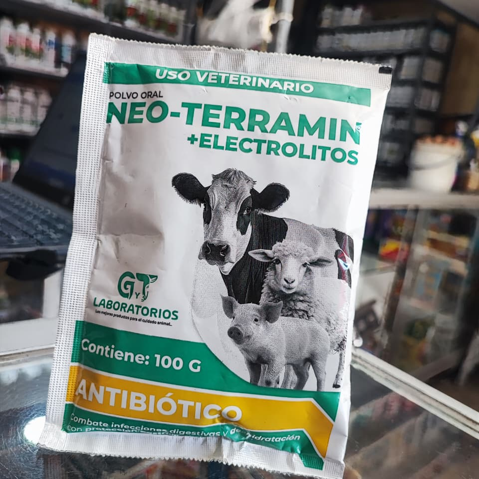 NEO TERRAMICIN 100GS X UN...