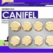CANIFEL X PASTI